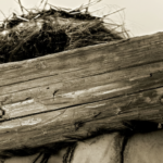 CTD024 – Jésus porte sa croix ?