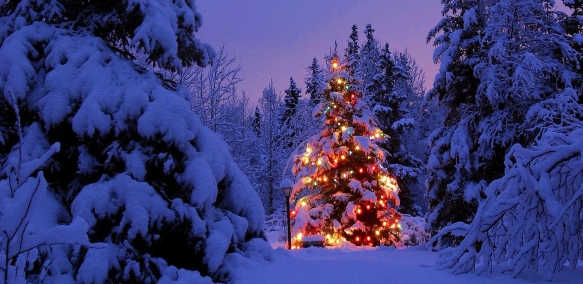 ANN104 – Noël