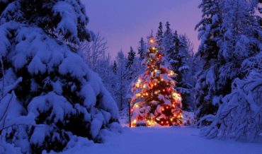 ANN104 – Noël