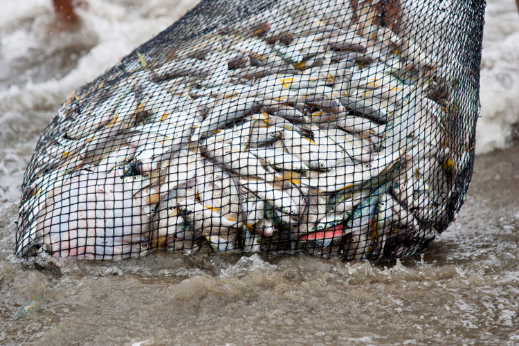 PER149- La parabole du filet jeté dans la mer